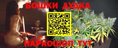 ПСИЛОЦИБИНОВЫЕ ГРИБЫ Новозыбков