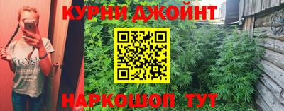 ПСИЛОЦИБИНОВЫЕ ГРИБЫ Новозыбков