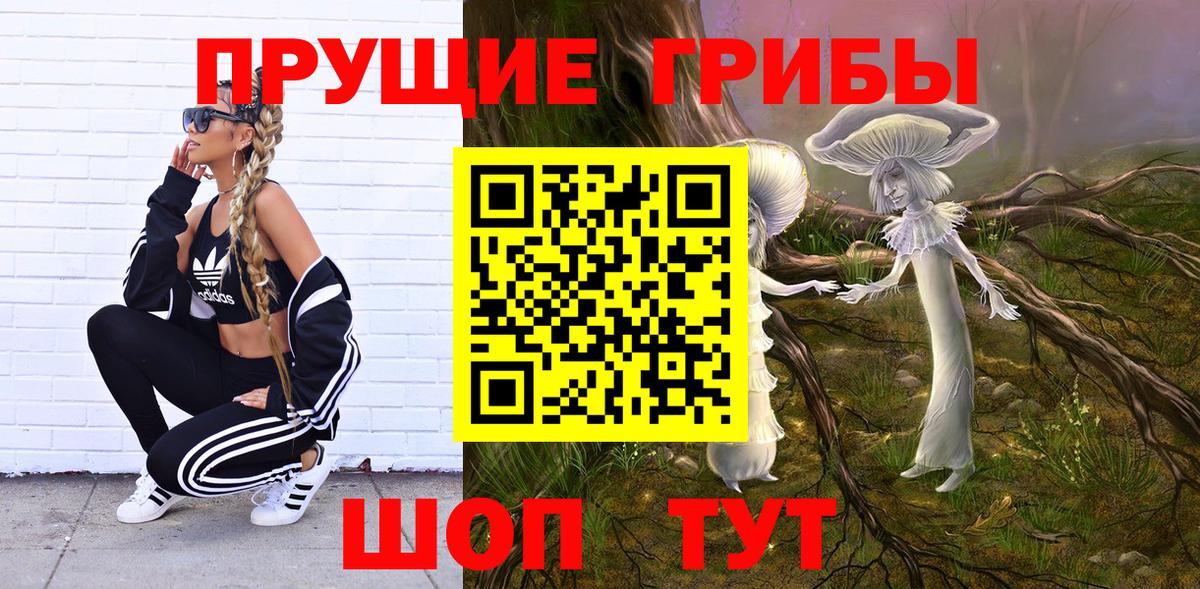 Псилоцибиновые грибы ЛСД Зима