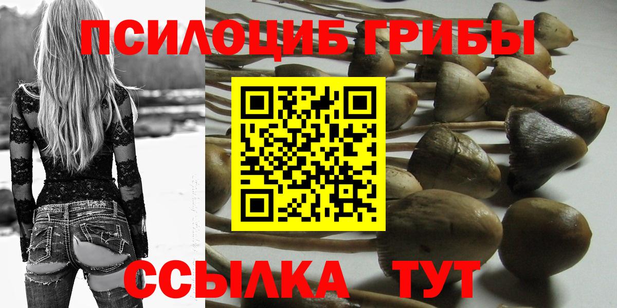 Экстази  Бошки Шишки  ГАШИШ  Зима  Кокаин  Вход с VPN  Амфетамин   Меф МЯУ МЯУ кристаллы  ГАШИШ  Купить наркотики 