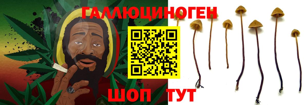 Зима  наркота  Галлюциногенные грибы Psilocybe  Вход с VPN  Псилоцибиновые грибы Psilocybine cubensis 